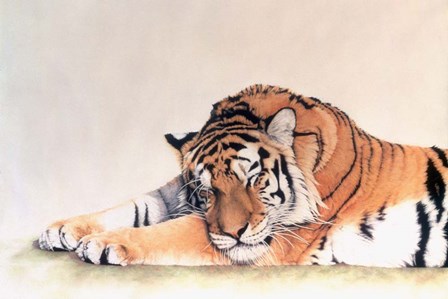 Sleeping Tiger by Jan Henderson art print