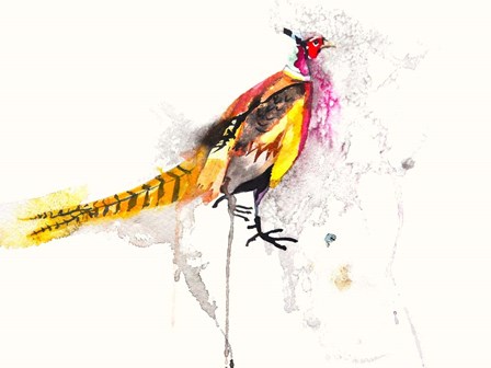 Pheasant by Karin Johannesson art print