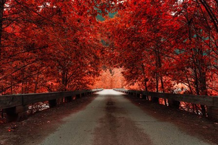 Bridge (Red) by Vladimir Kostka art print