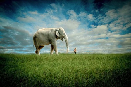 Elephant Follow Me by Jeff Madison art print