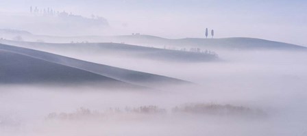 Dawn Mist in Val d&#39;Orcia, Tuscany by Andy Mumford art print