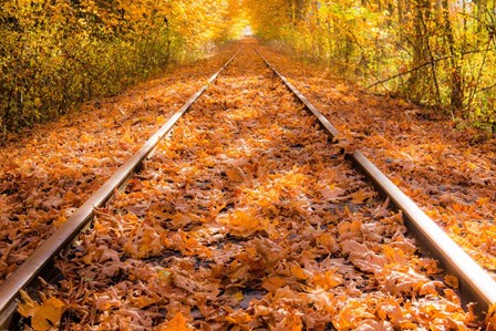 Train Tracks in The Fall by Tim Oldford art print