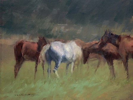 Southern Horses by Valtcho Tonov art print