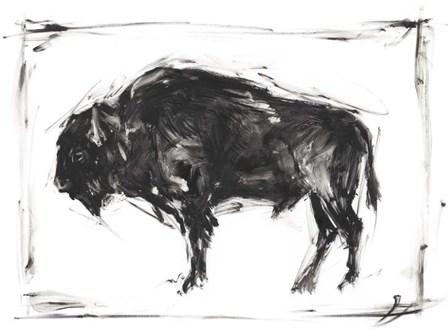 Dynamic Bison II by Ethan Harper art print