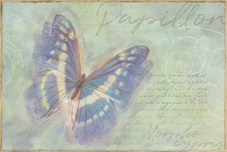 Papillon Butterfly Morpho cypris by Cora Niele art print