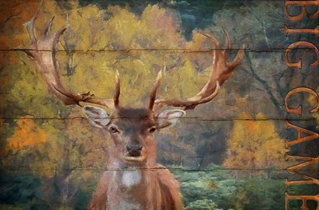 Big Game Deer by Cora Niele art print