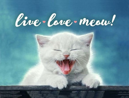 Live Love Meow by Evie Cook art print