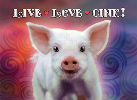 Live Love Oink by Evie Cook art print