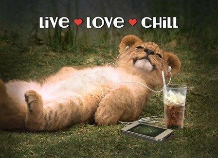 Live Love Chill by Evie Cook art print