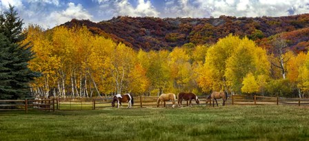 Colorado Farm by Jonathan Ross art print