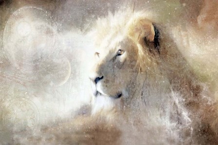 Golden Lion King by Katrina Jones art print