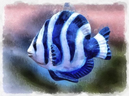 A Single Angel Fish by Leslie Montgomery art print