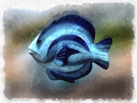 Another Single Angel Fish by Leslie Montgomery art print