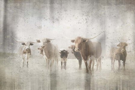 Antique Farm 12 by LightBoxJournal art print