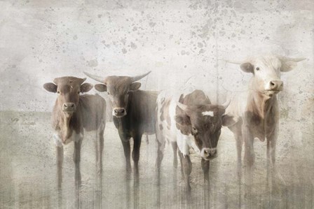 Antique Farm 13 by LightBoxJournal art print