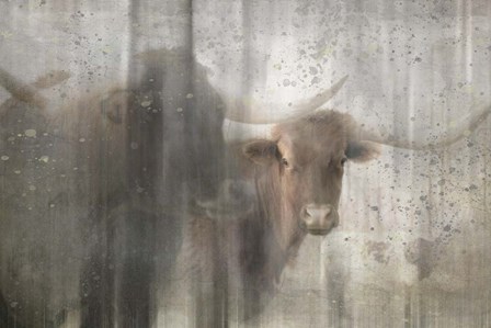 Antique Farm 15 by LightBoxJournal art print