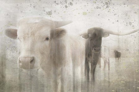 Antique Farm 17 by LightBoxJournal art print