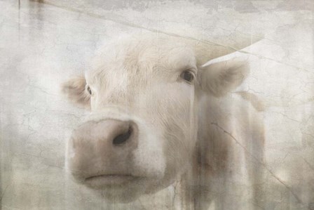 Antique Farm 18 by LightBoxJournal art print