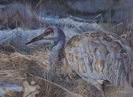 Big Bird by Rusty Frentner art print