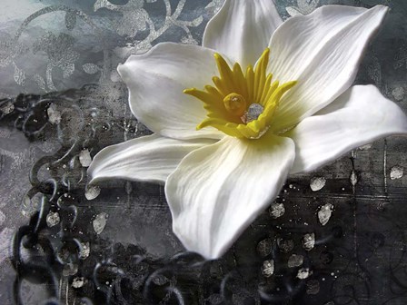 Frost Queen by Tina Lavoie art print