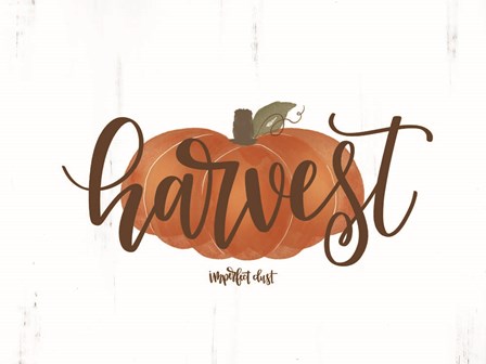 Harvest Pumpkin by Imperfect Dust art print