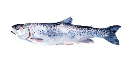 Freckled Trout III by Emma Scarvey art print