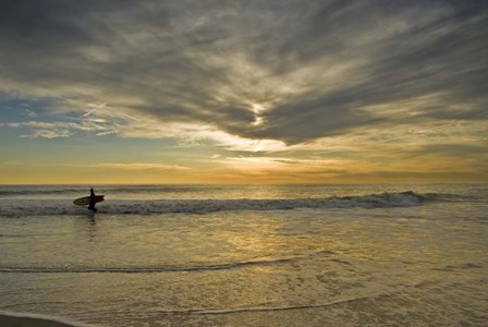 Sunrise On Surfer With Board Walking Through Shore Waves, Cape May NJ by Jay O&#39;Brien / Jaynes Gallery / DanitaDelimont art print