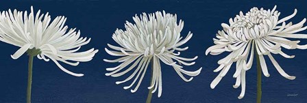 Morning Chrysanthemums V Dark Blue by Kathrine Lovell art print