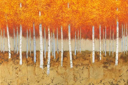 Autumn Birches by James Wiens art print