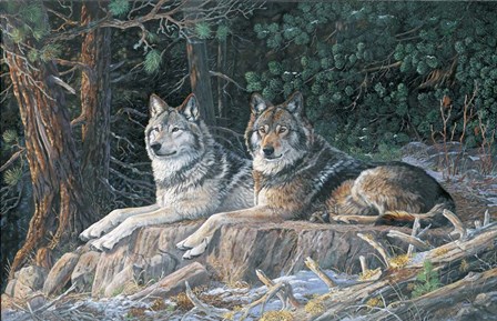 Leaders Of The Pack by Terry Doughty art print