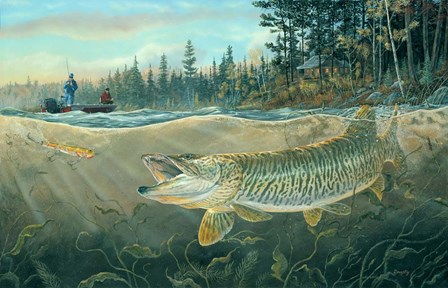 Muskie Bay by Terry Doughty art print