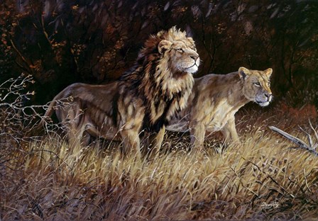 Lions by Terry Doughty art print