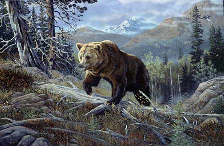 Over The Top Grizzly by Terry Doughty art print