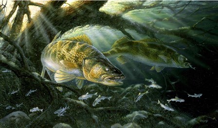 River Queen by Terry Doughty art print