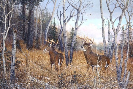 Bowhunter&#39;s Dream by Terry Doughty art print