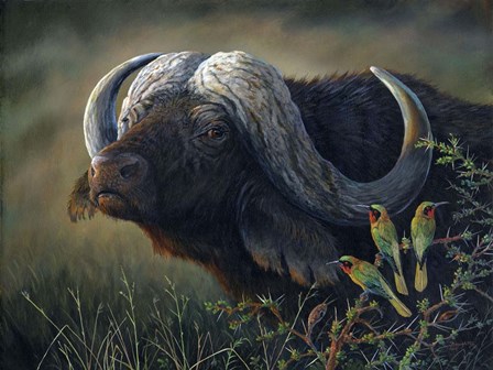 Caped Buffalo by Terry Doughty art print