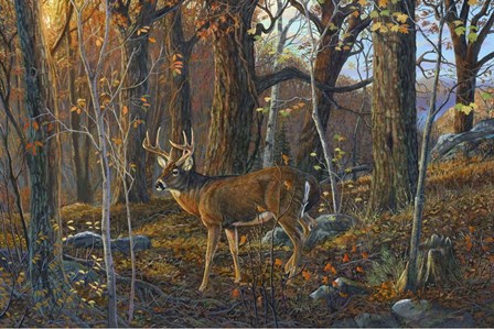 Lost Valley Buck by Terry Doughty art print