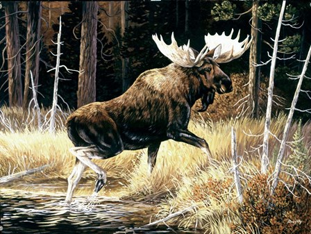Moose by Terry Doughty art print
