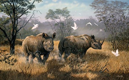 Rhino by Terry Doughty art print