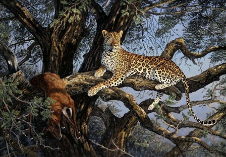 Leopard by Terry Doughty art print