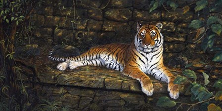 Temple Tigress by Terry Doughty art print