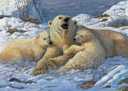 Snow Bears by Terry Doughty art print
