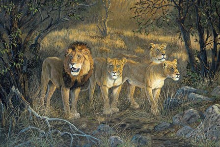 Pride Of Africa by Terry Doughty art print
