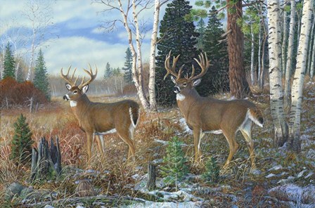 Tall Timber Bucks by Terry Doughty art print