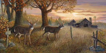 Unknown Sanctuary by Terry Doughty art print