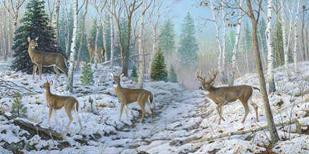 Whitetail Passion by Terry Doughty art print