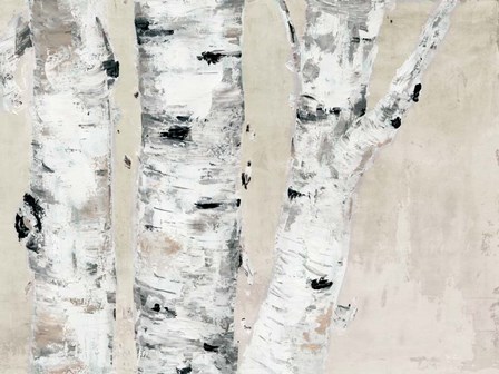 Birch Tree Close Up Neutral by Marie-Elaine Cusson art print