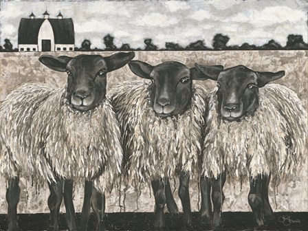 Three Sheep by Hollihocks Art art print