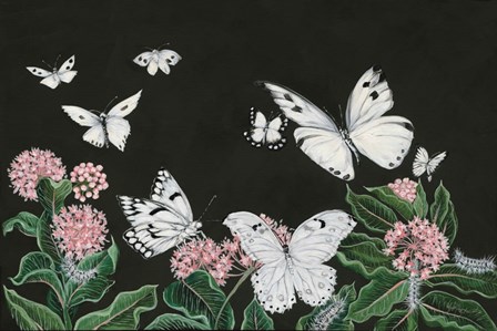 Butterflies by Hollihocks Art art print