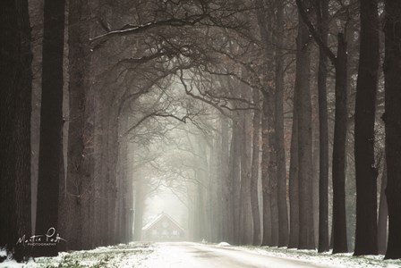 Haunted House by Martin Podt art print